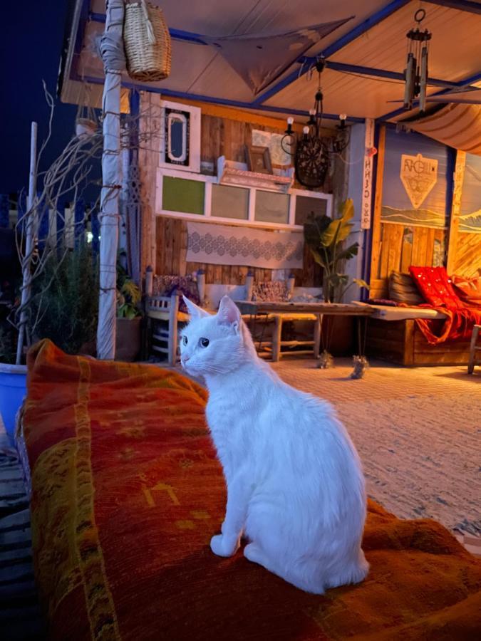 Agachill Surf House Bed & Breakfast Tamraght Dış mekan fotoğraf